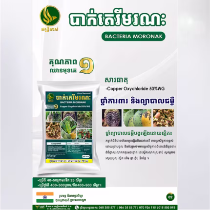 បាក់តេរីមរណៈ