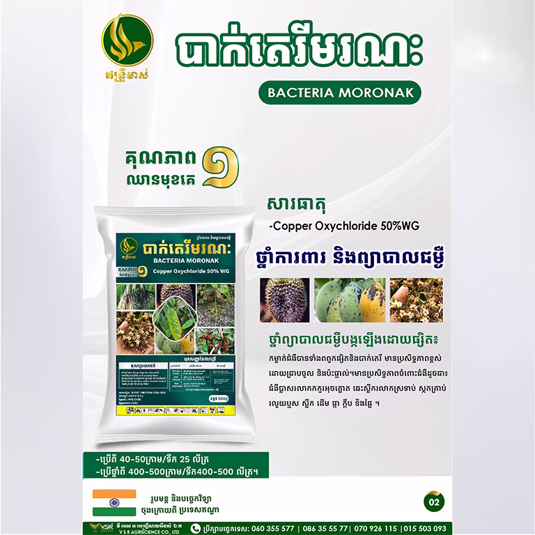 បាក់តេរីមរណៈ
