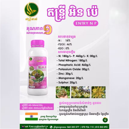 ឥន្ទ្រីអិនប៉េ