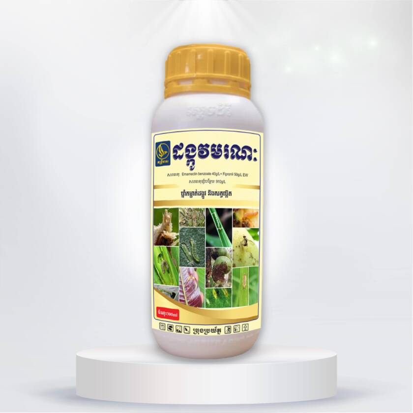 ដង្កូវមរណៈ