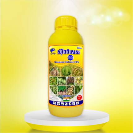 ស៊ីវីដពិសេសs2