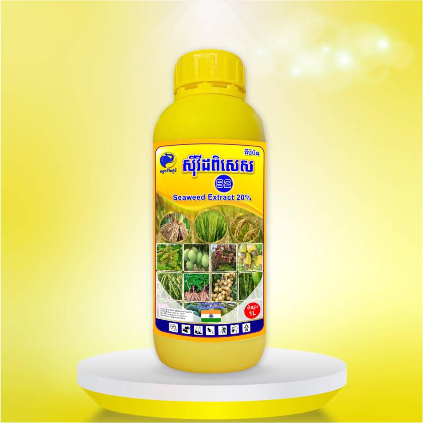 ស៊ីវីដពិសេសs2