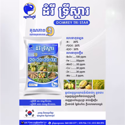 ដំរី ទ្រីស្តារ