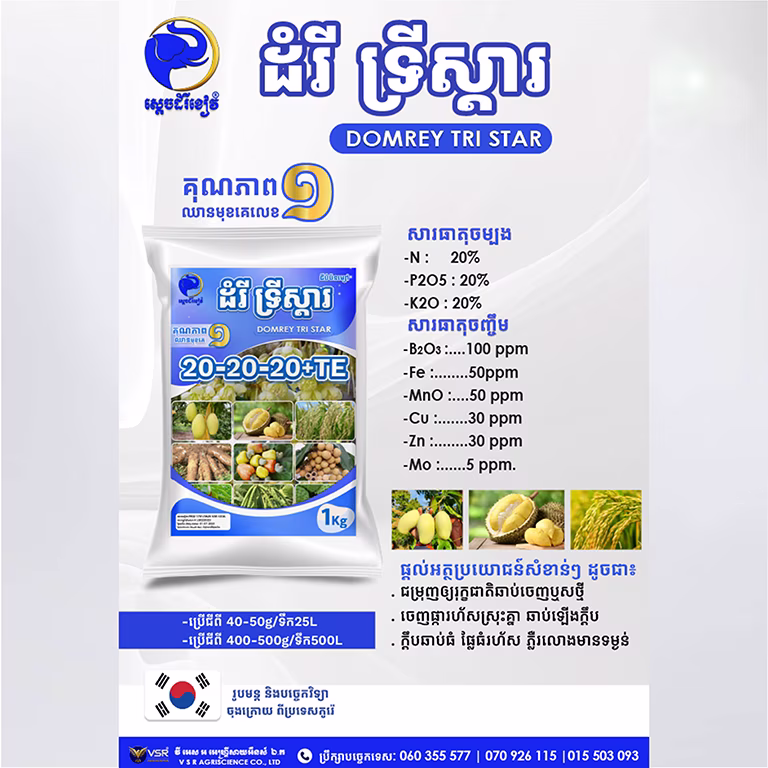 ដំរី ទ្រីស្តារ