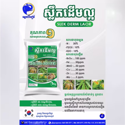 ស្លឹកដើមល្អ