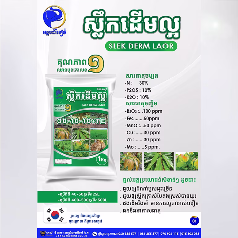 ស្លឹកដើមល្អ