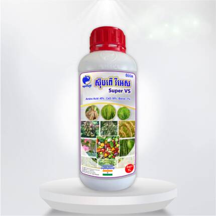 ស៊ុបព័រ វីអេស