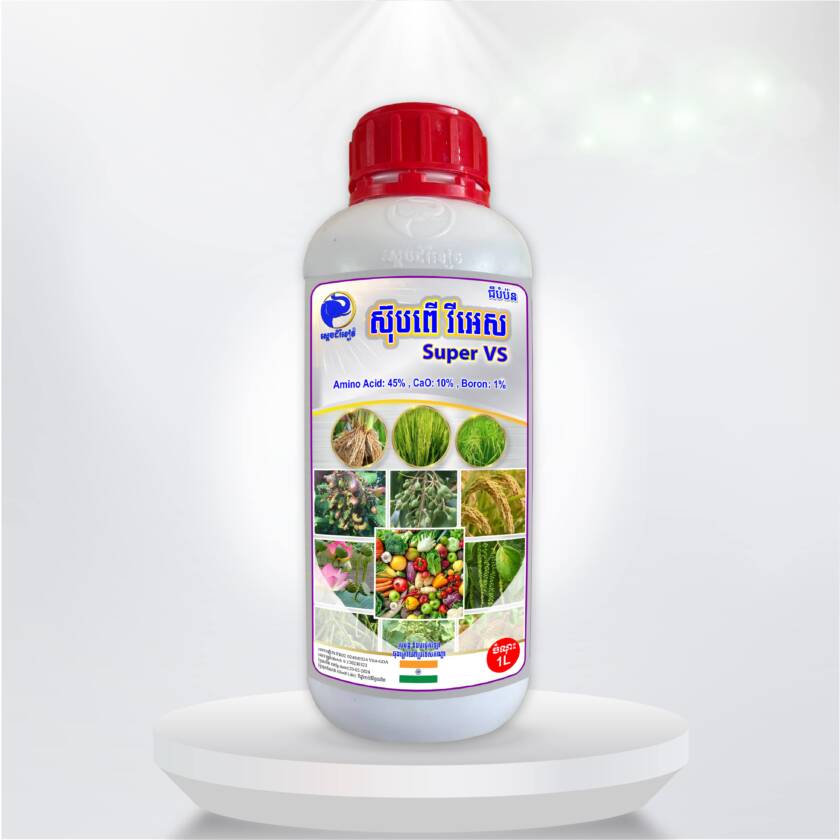 ស៊ុបព័រ វីអេស