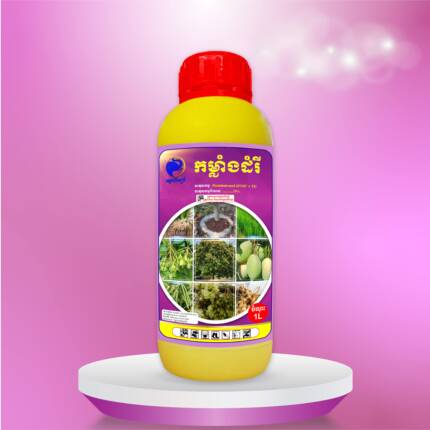 កម្លាំងដំរី