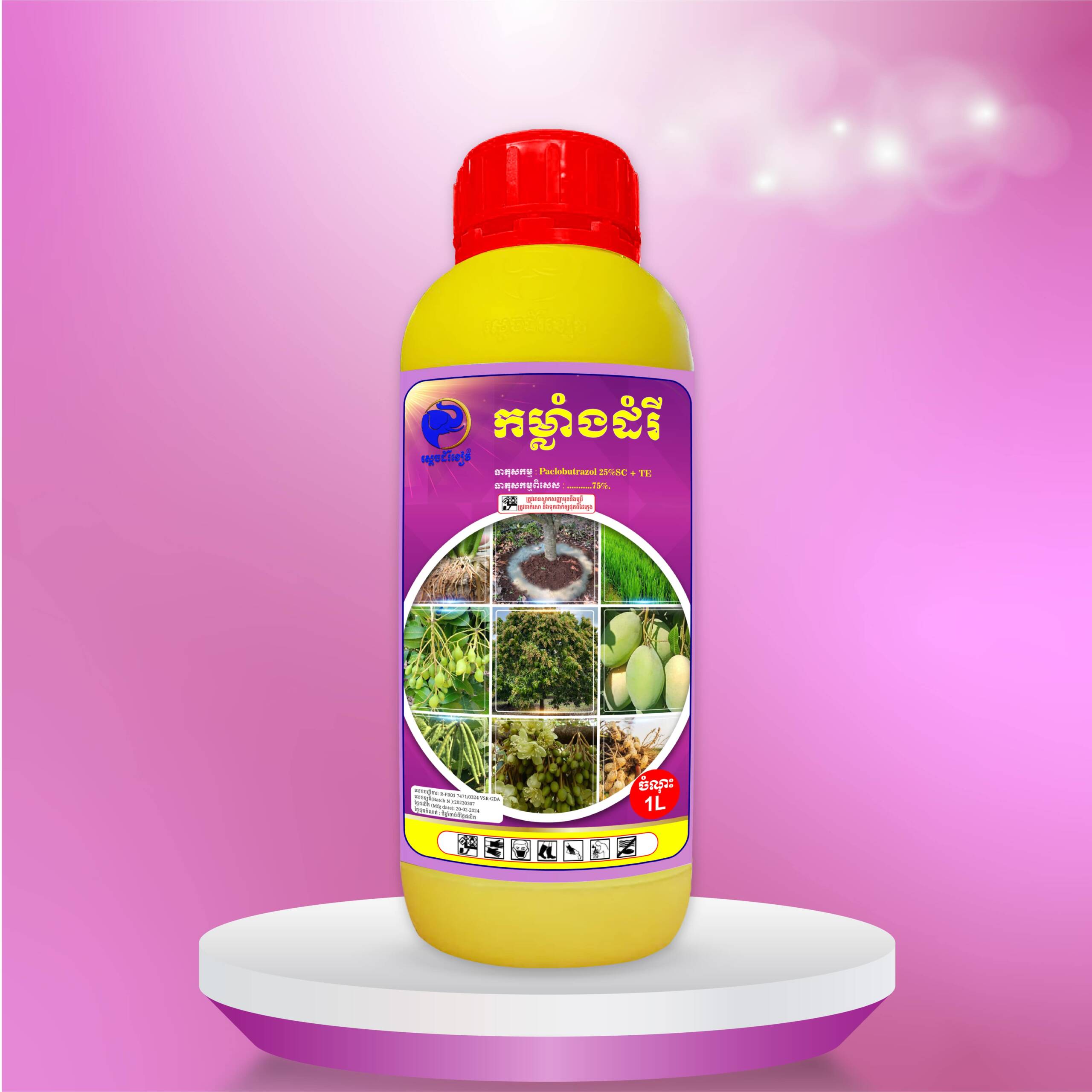 កម្លាំងដំរី