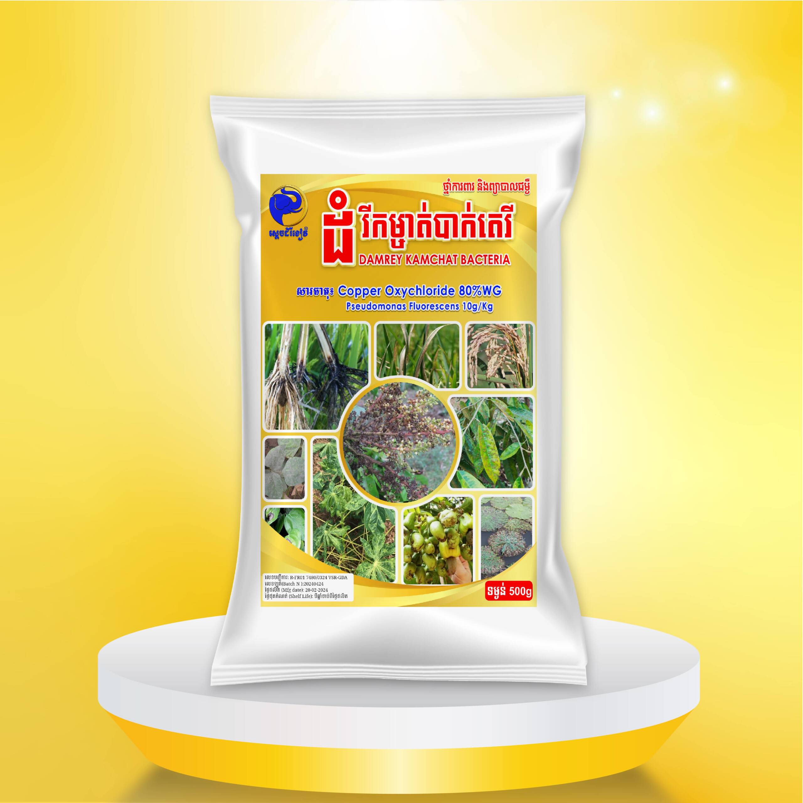 ដំរីកម្ចាត់បាក់តេរី