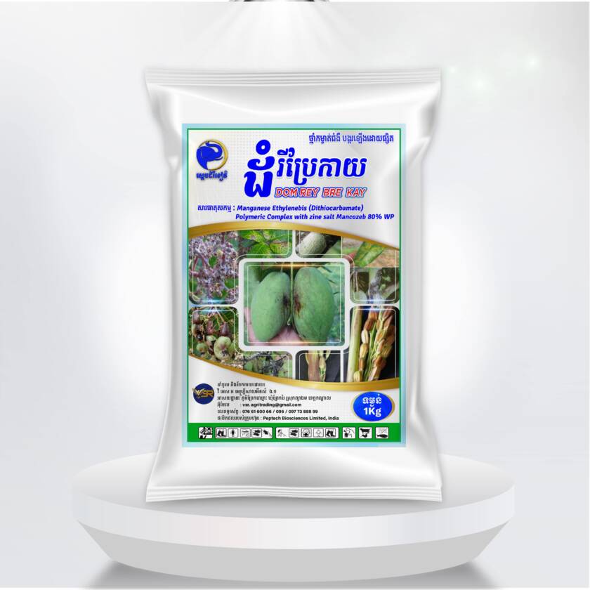 ដំរីប្រែកាយ