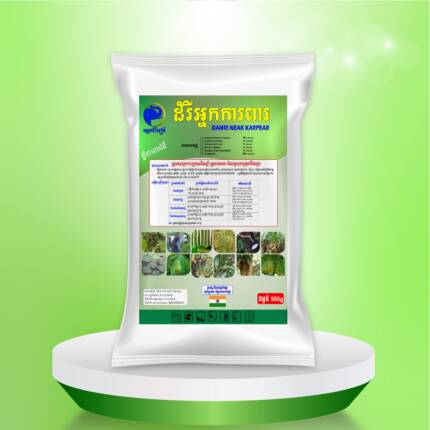 ដំរីអ្ន​កការពារ