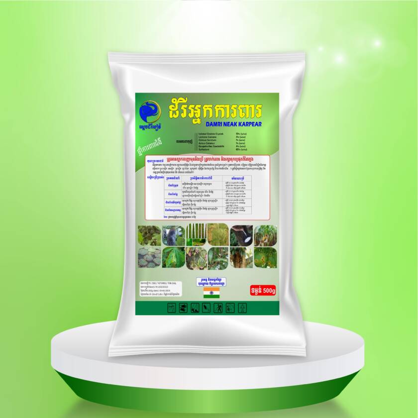 ដំរីអ្ន​កការពារ