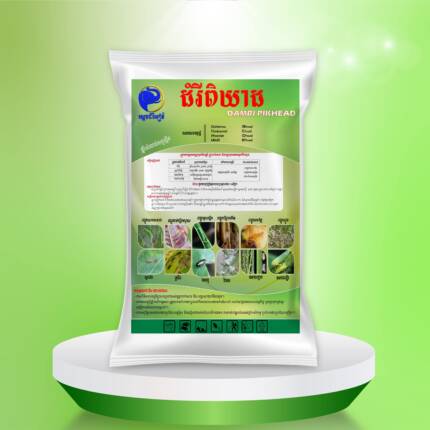 ដំរីពិឃាដ