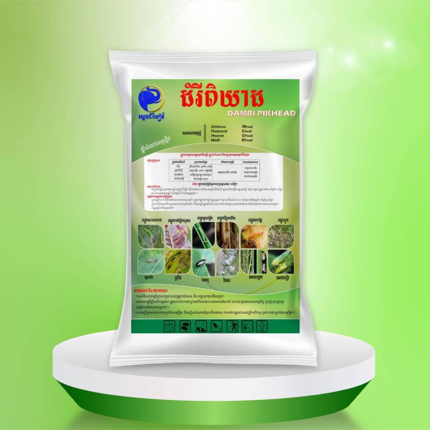 ដំរីពិឃាដ