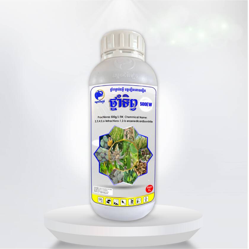 ថ្នាំទិព្វ