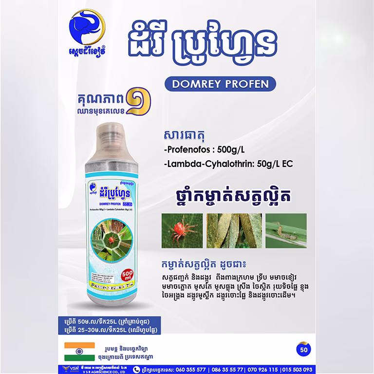 ដំរីប្រូហ្វែន