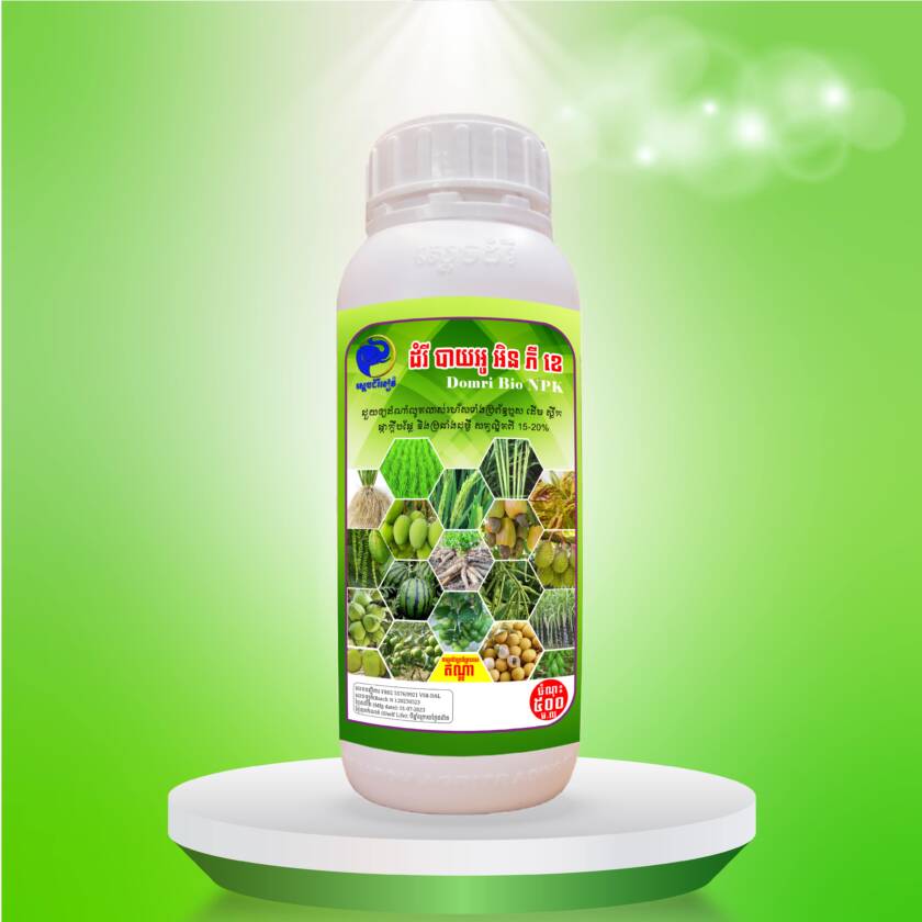 ដំរីបាយអូអិនភីខេ