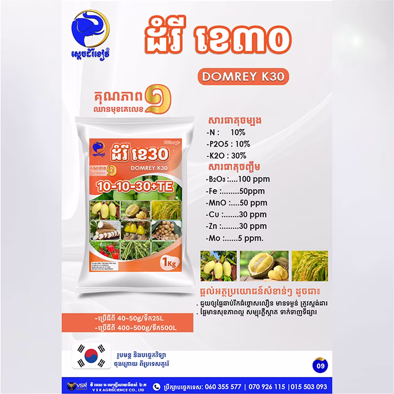 ដំរី ខេ៣០