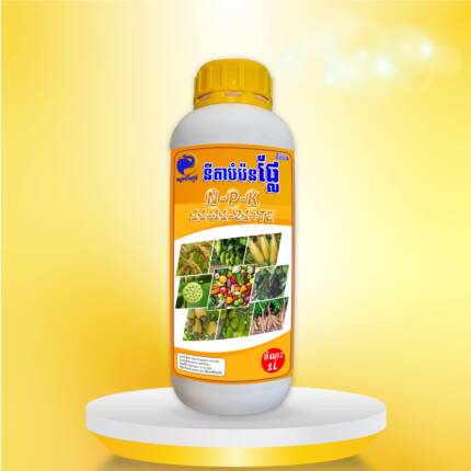 នីតាបំប៉នផ្លែ