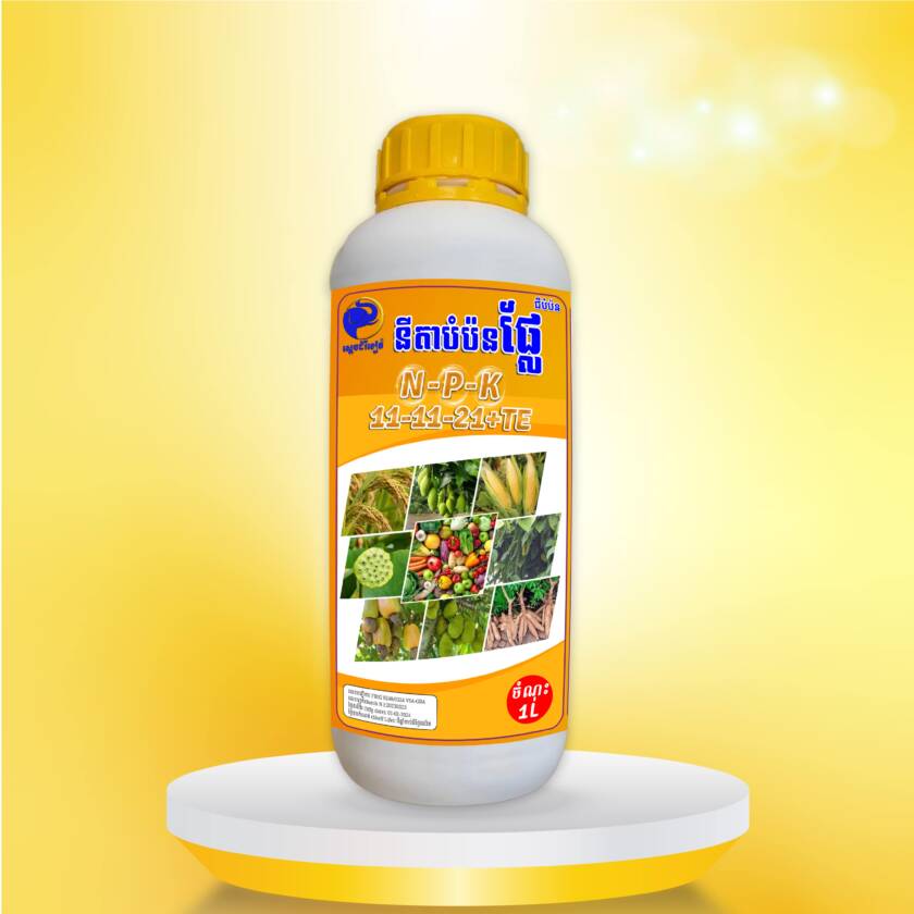 នីតាបំប៉នផ្លែ