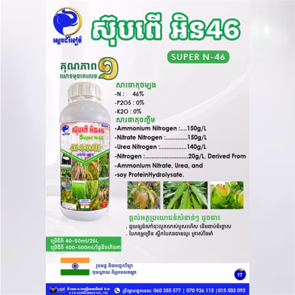 ស៊ុបពើ អិន៤៦