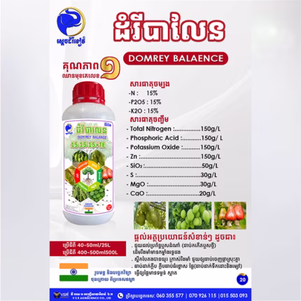 ដំរីបាលែន