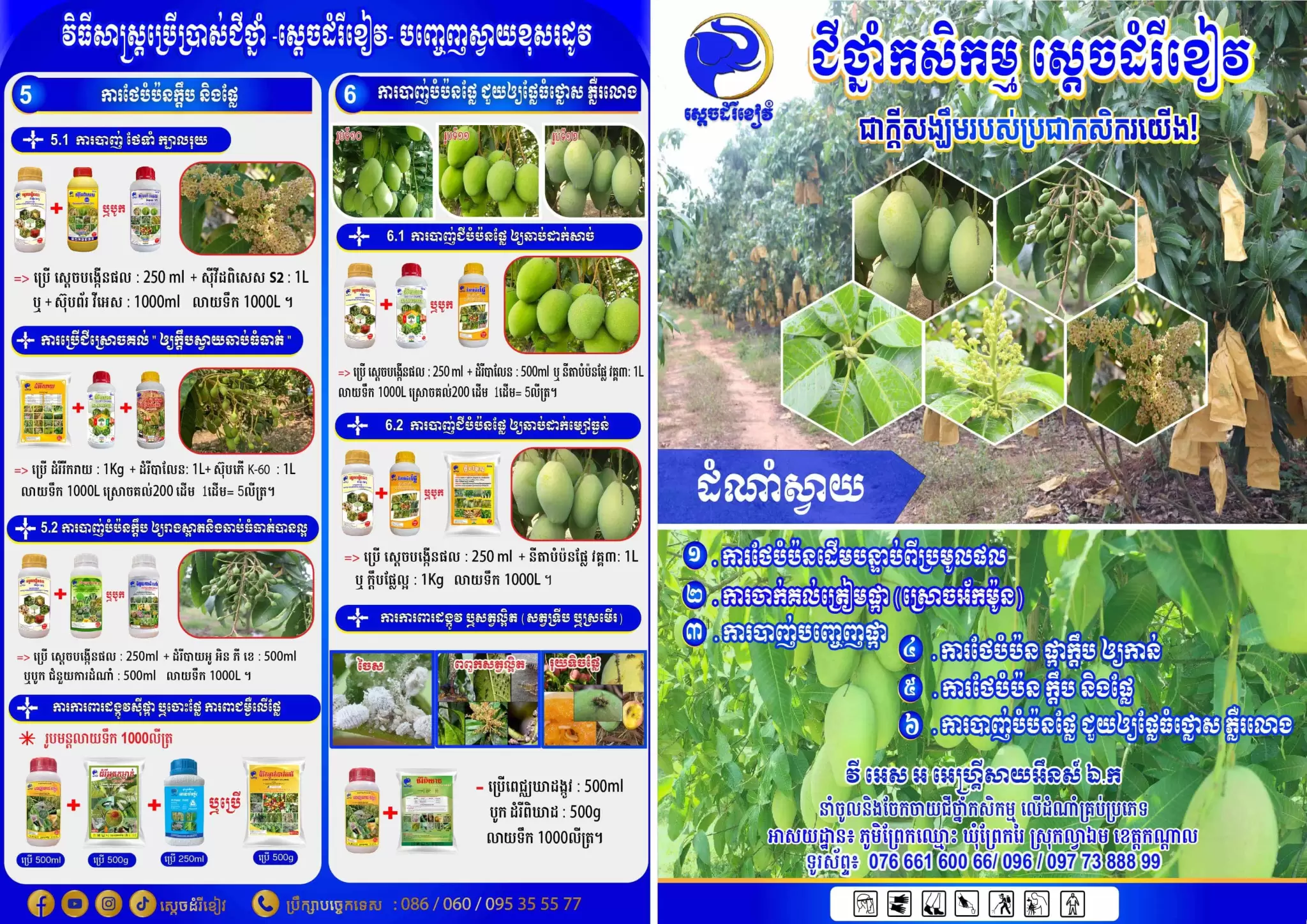 Leaflet ដំណាំស្វាយ A4-01-min-min-min