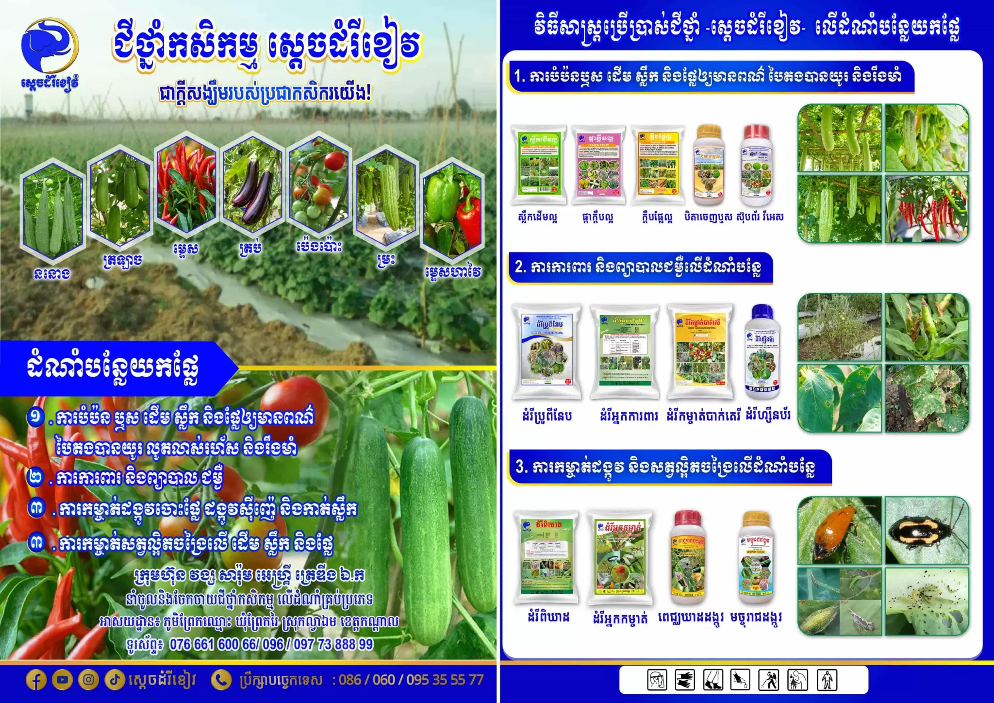 Leaflet បន្លែផ្លែ-01-min-min-min