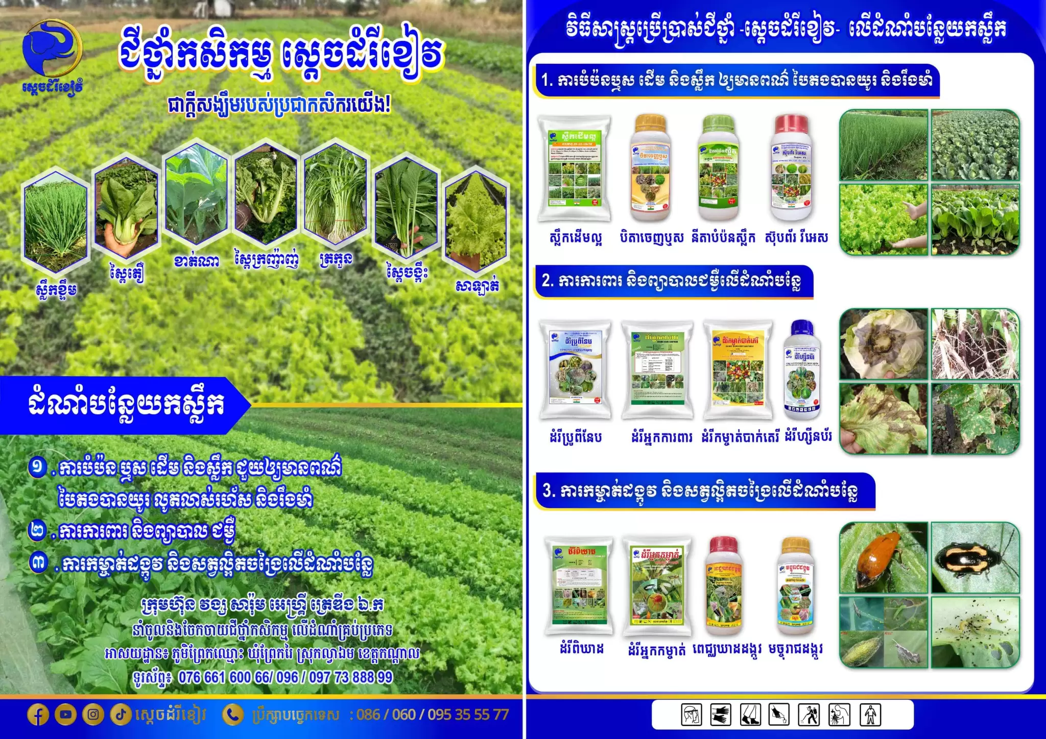 Leaflet បន្លែយកស្លឹក-01-min-min-min