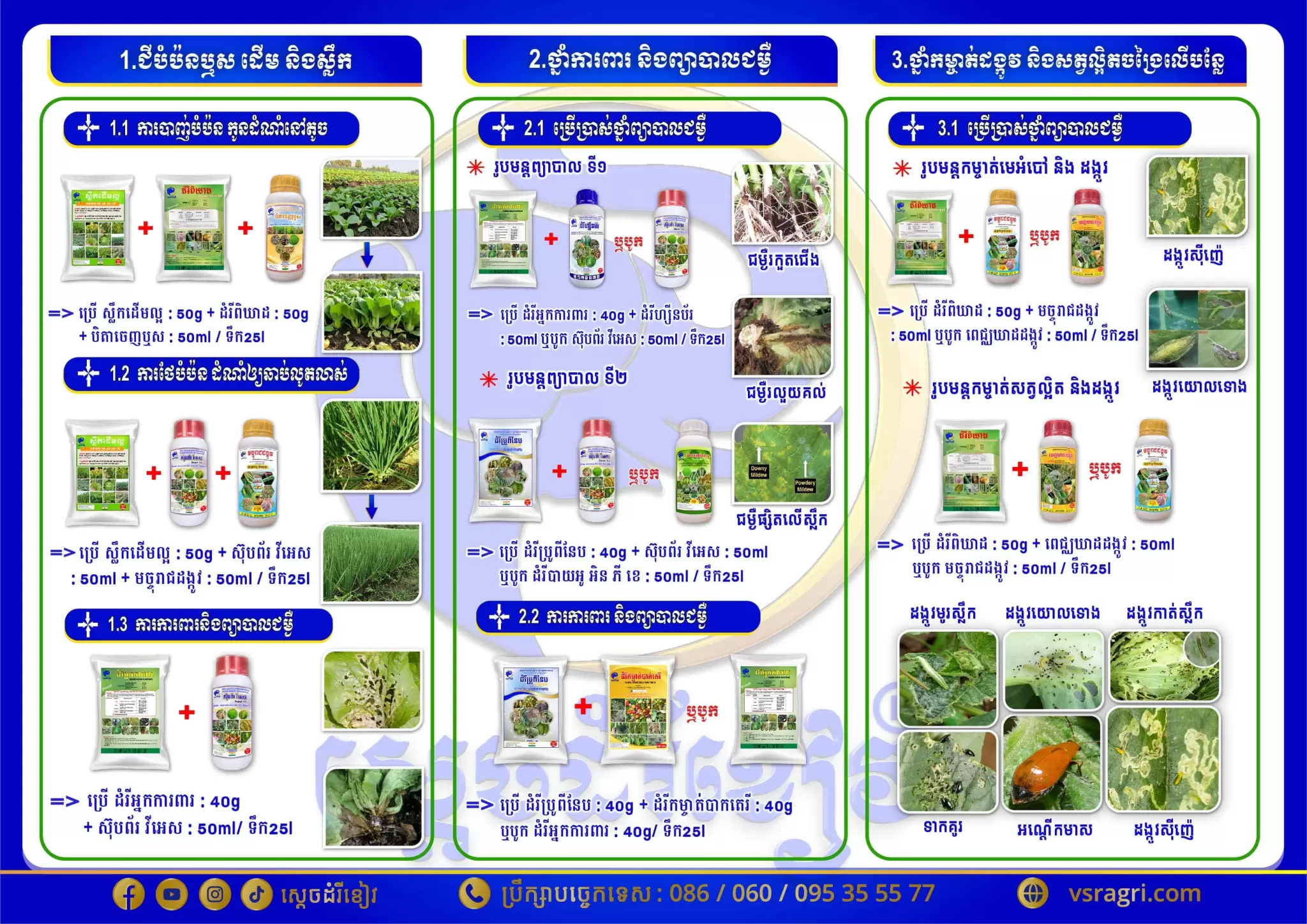 Leaflet បន្លែយកស្លឹក-02-min-min-min