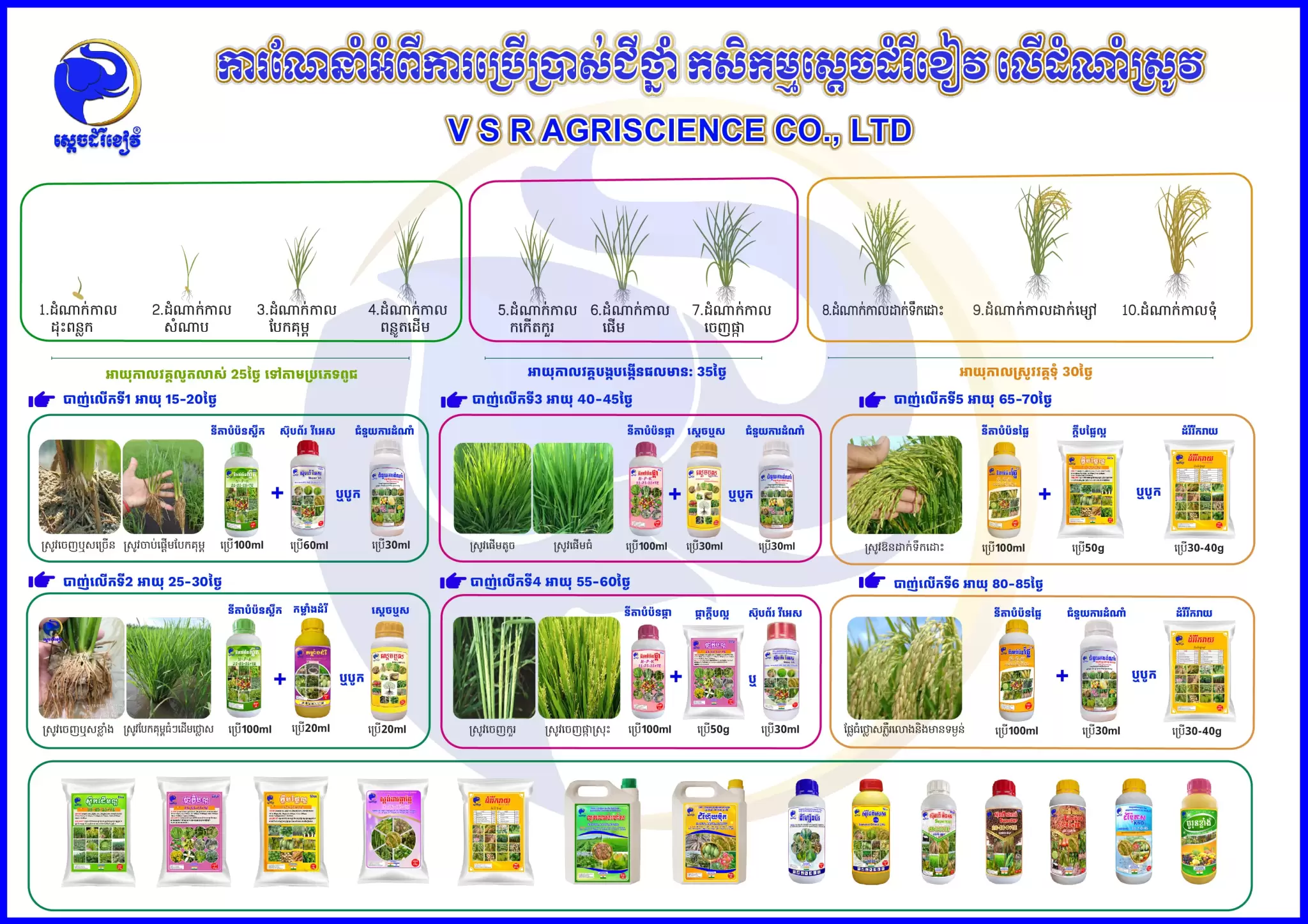 Rice leaflet តាមអាយុរបស់ស្រូវ.A4-01-min-min-min