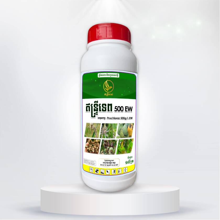 ឥន្រ្ទីទេព