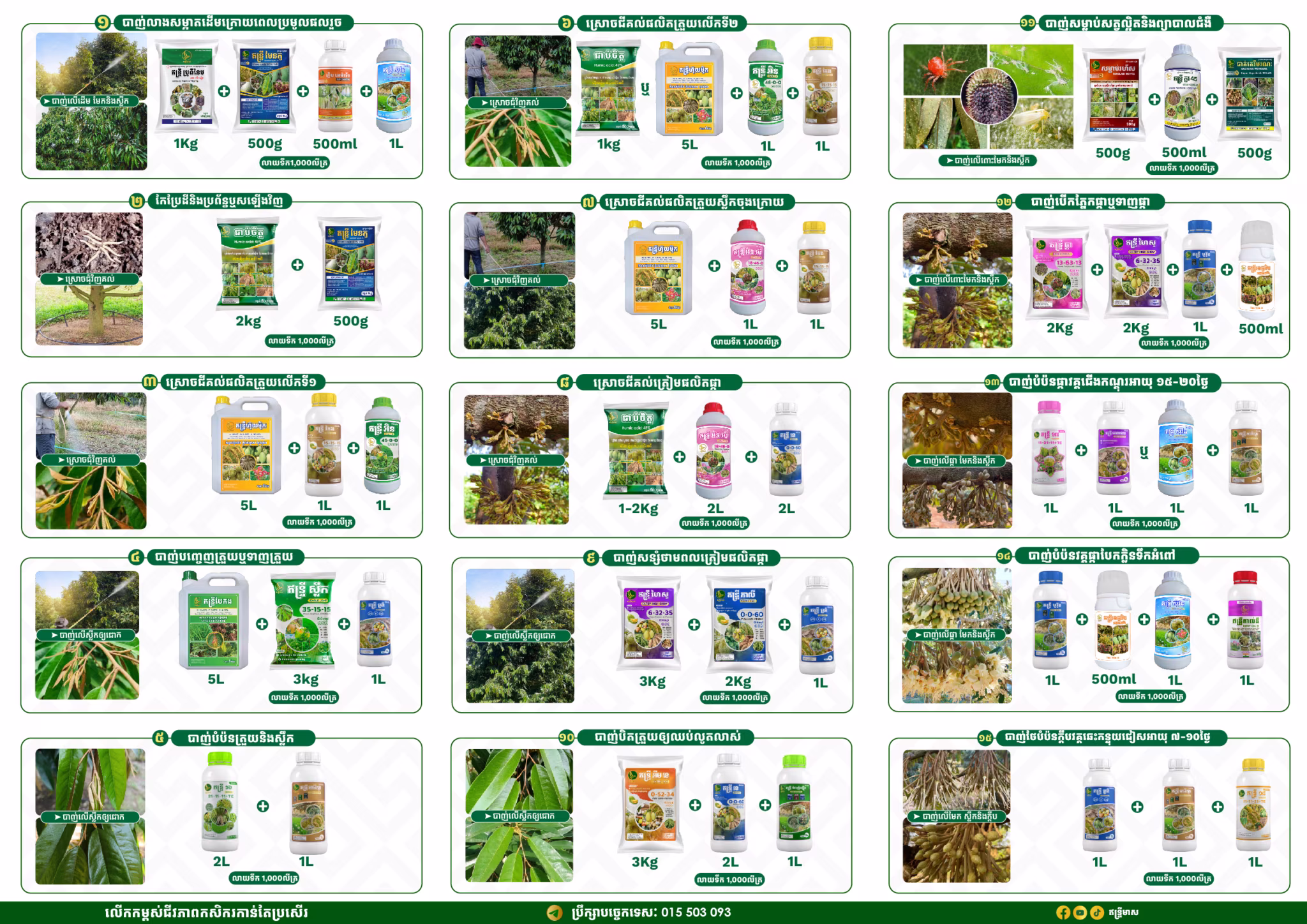 BROCHURE DURIAN ENTRY V03-02 (6)