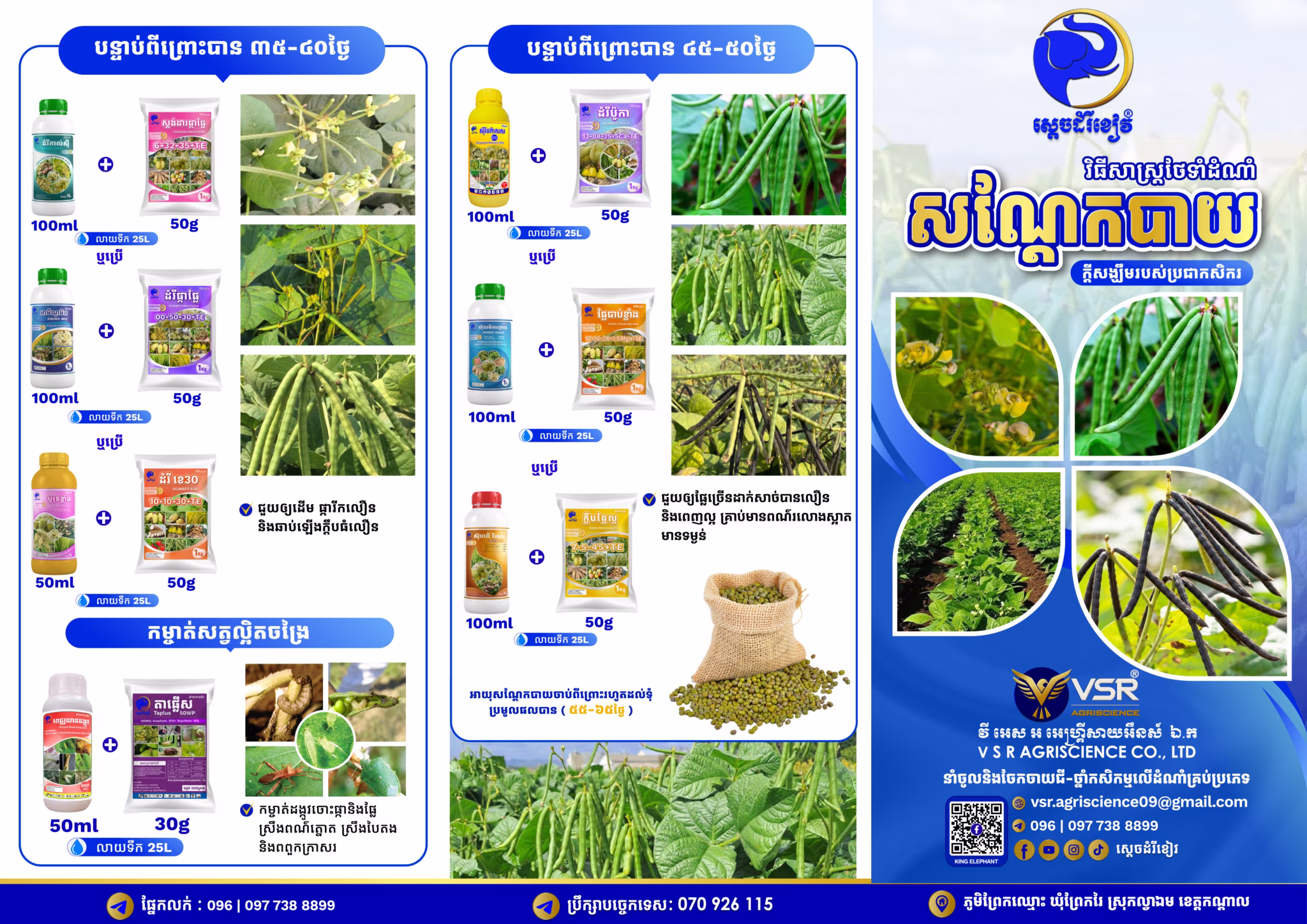 BROCHURE_Bean_KE Final-01
