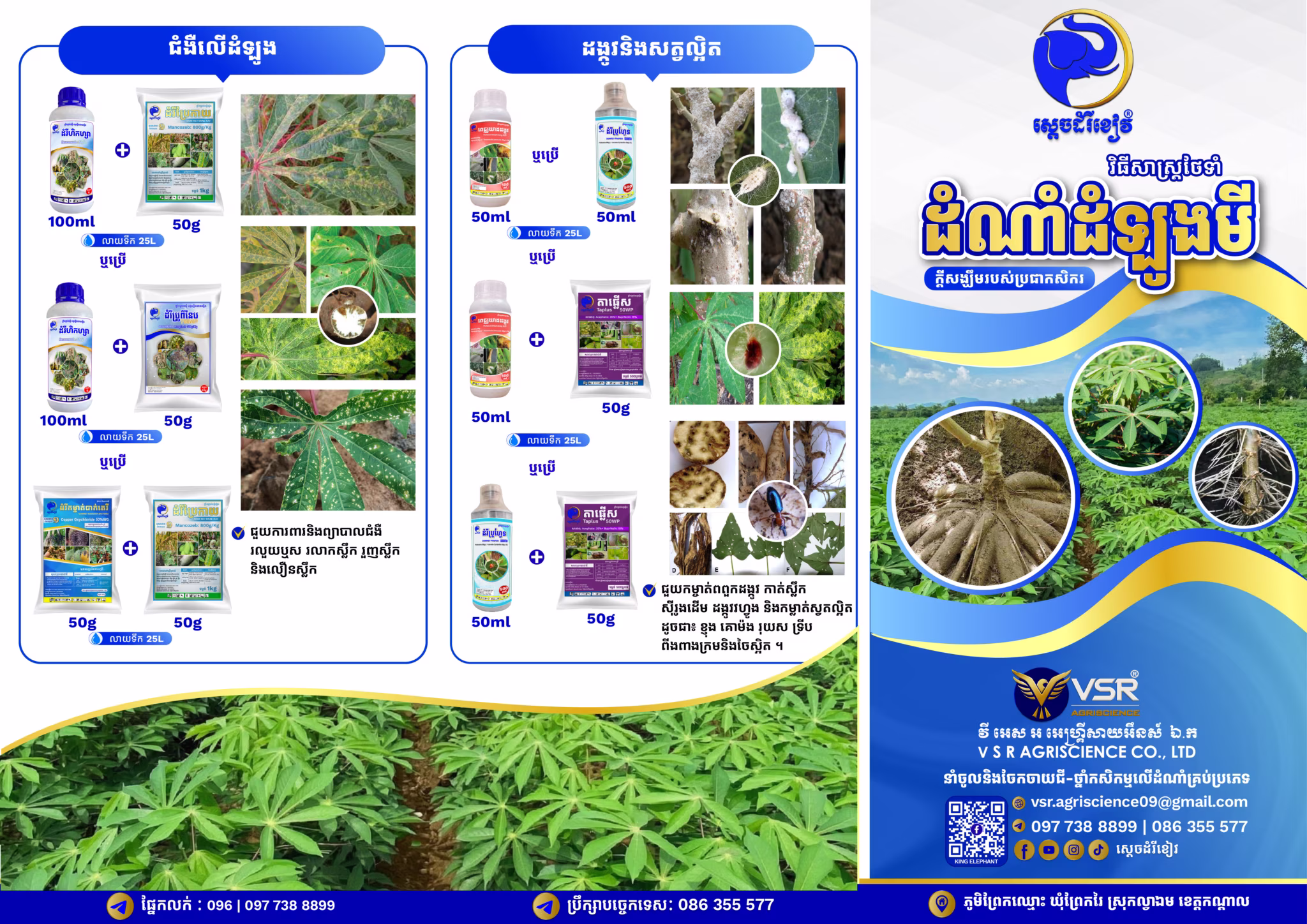 BROCHURE_ដំណាំដំឡូងមី_ស្តេចដំរីខៀវ_V01_01