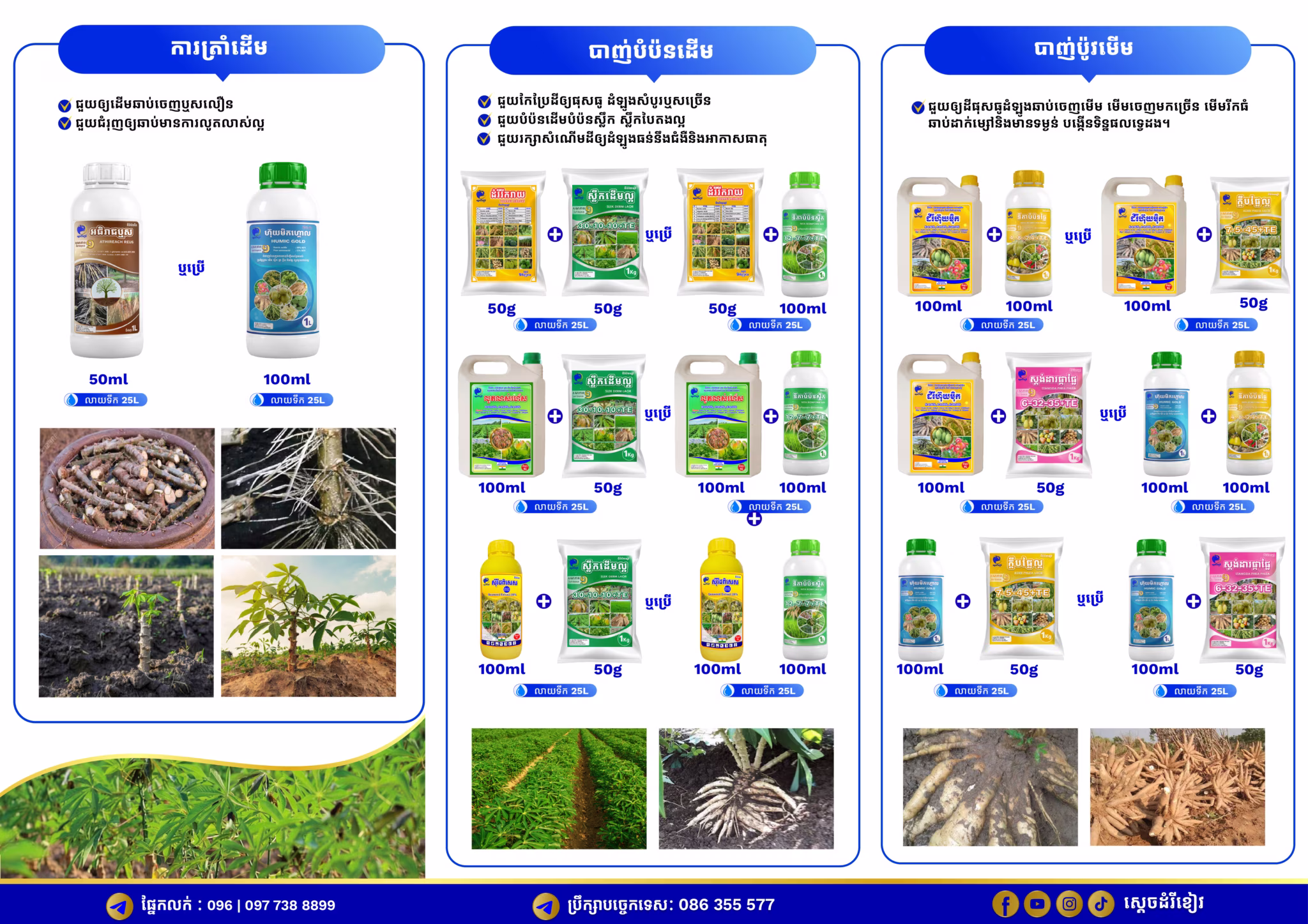 BROCHURE_ដំណាំដំឡូងមី_ស្តេចដំរីខៀវ_V01_02