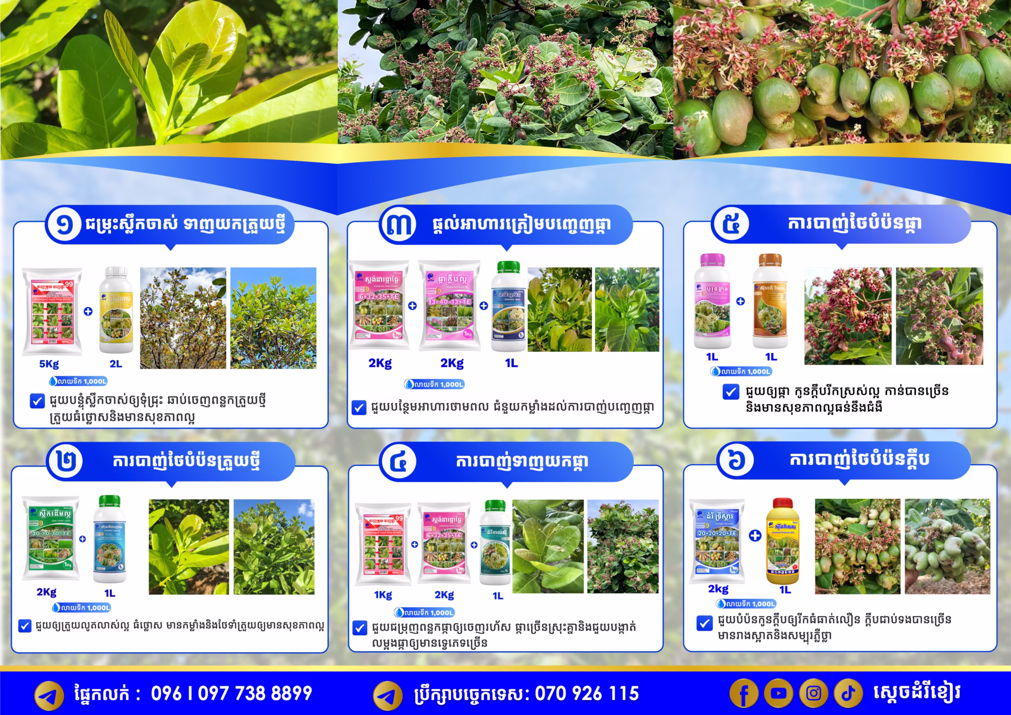 Brochure Cashew KE Final-01
