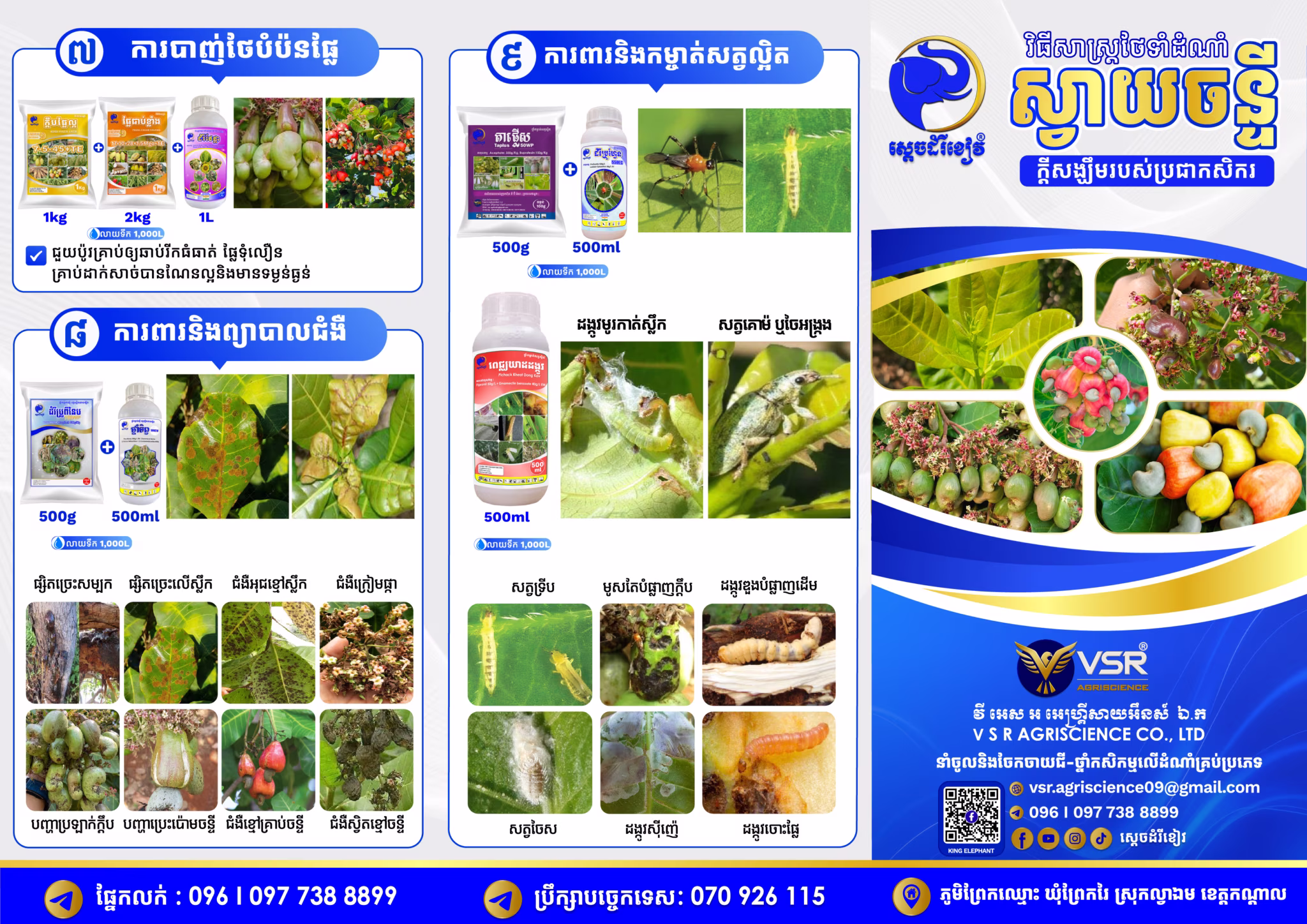 Brochure Cashew KE Final-02