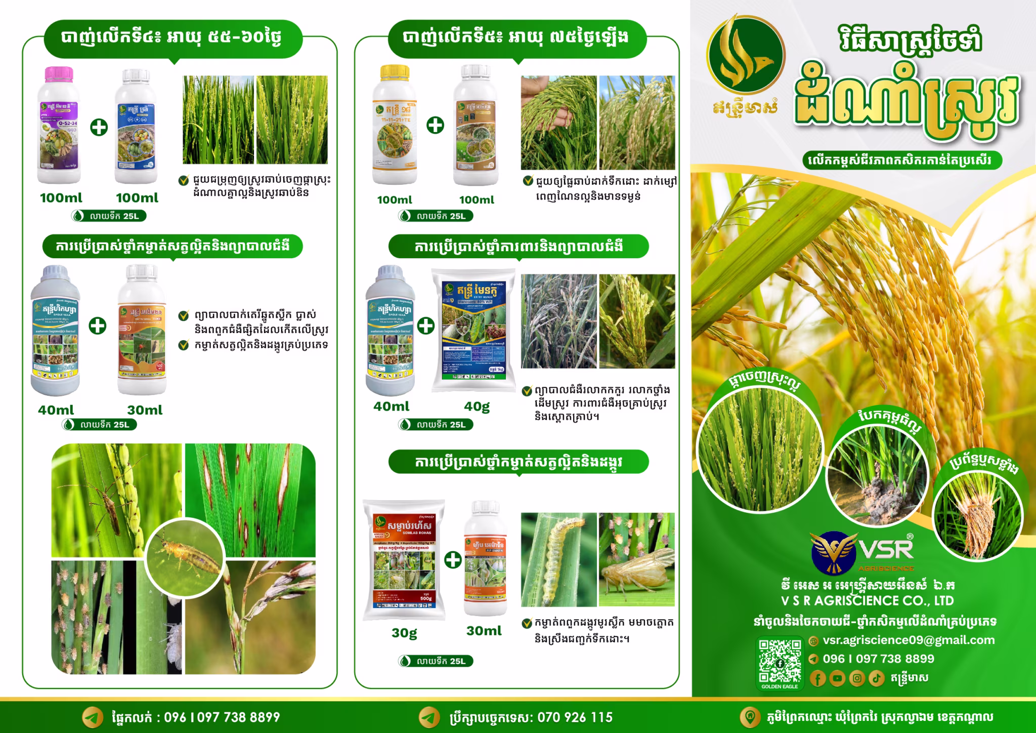 Brochure Rice GE1 Final