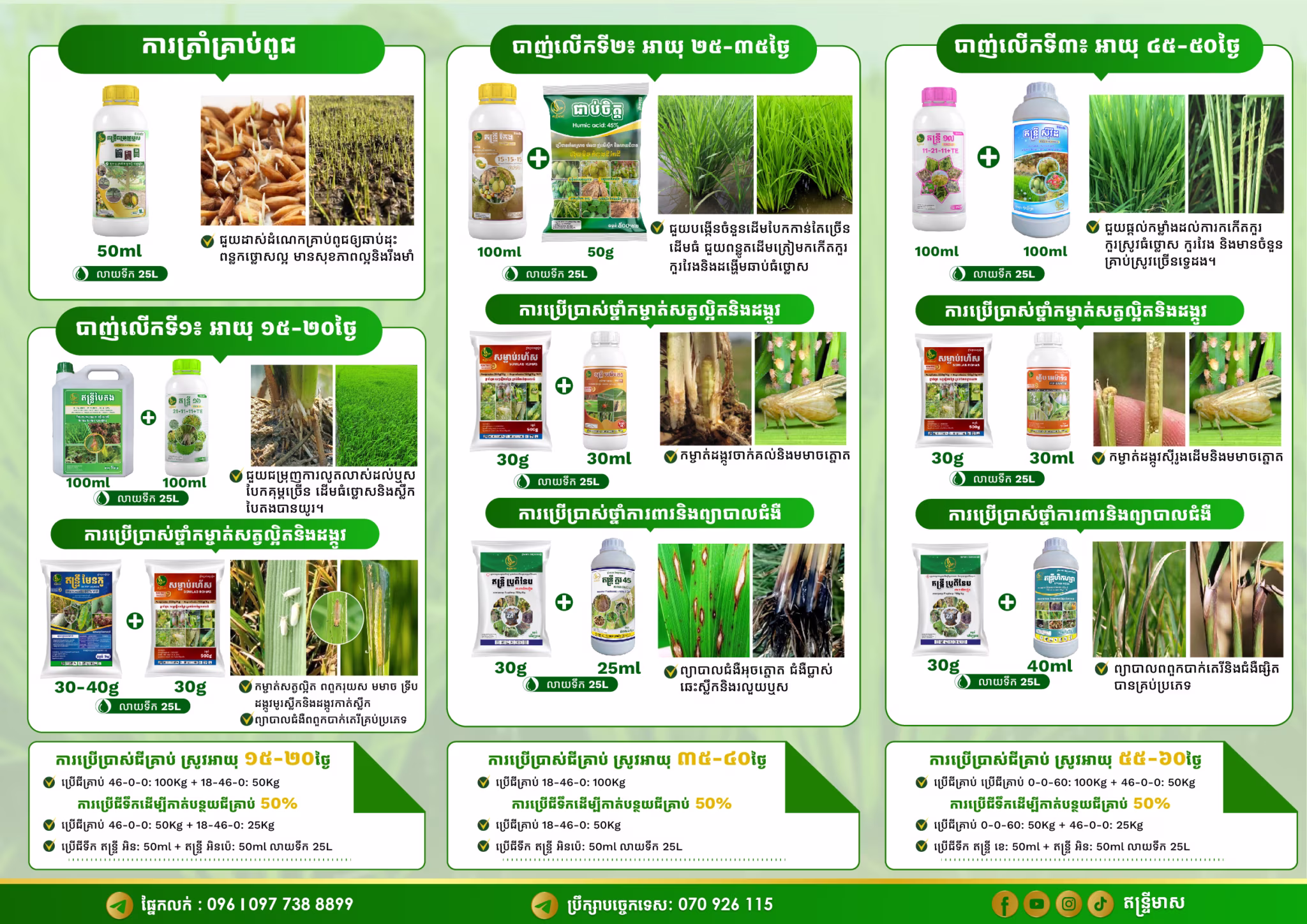 Brochure Rice GE2 Final