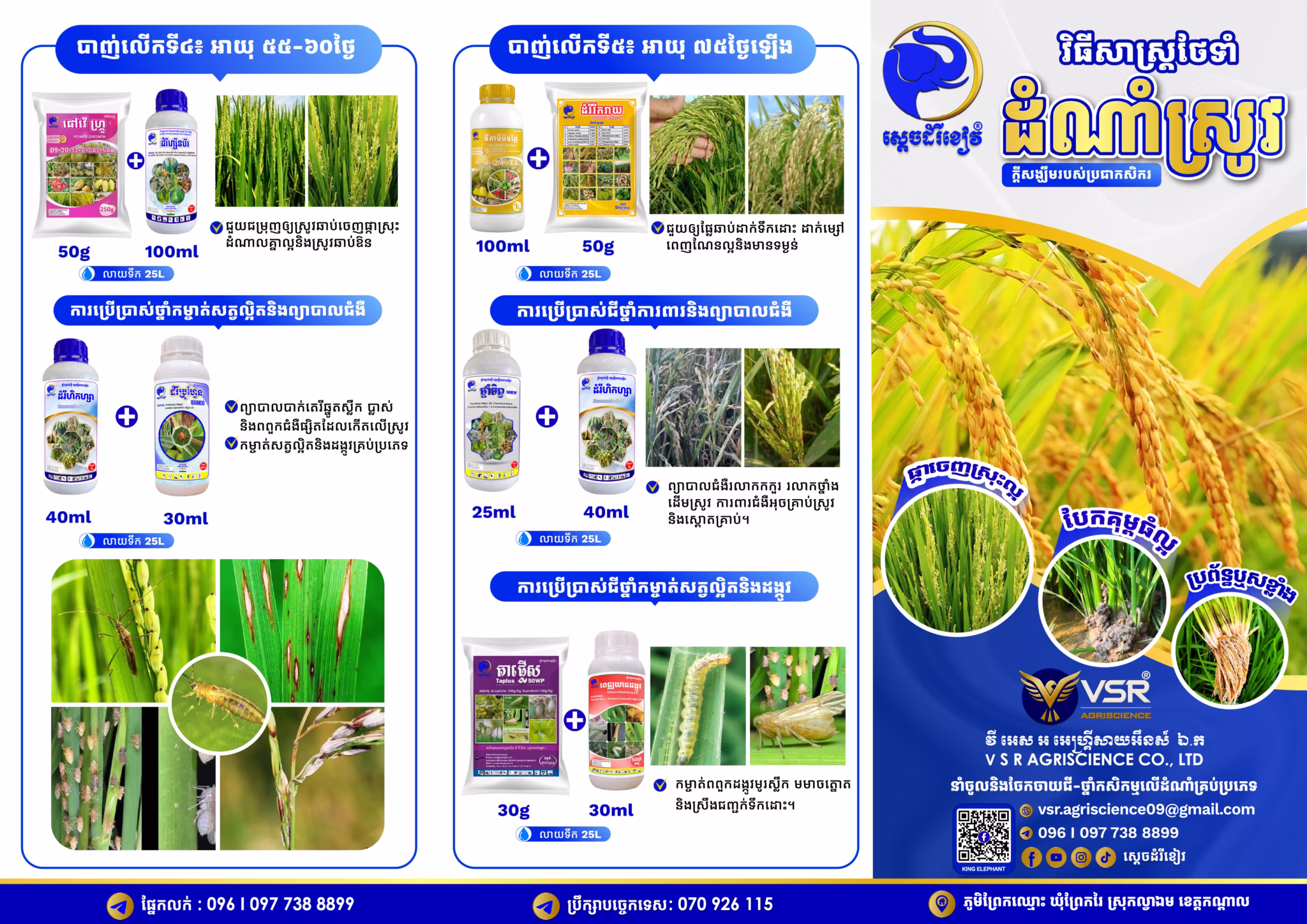 Brochure Rice KE Final-01