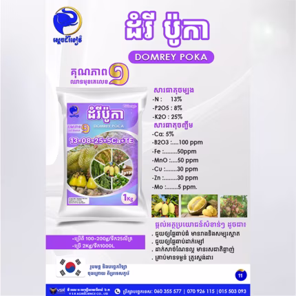 ដំរី ប៉ូកា