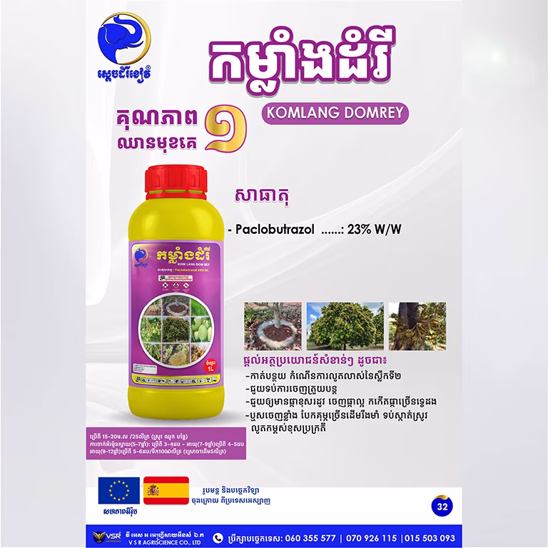 កម្លាំងដំរី