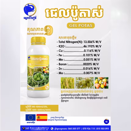 ជេលប៉ូតាស់