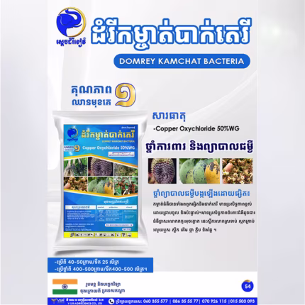 ដំរីកម្ចាត់បាក់តេរី