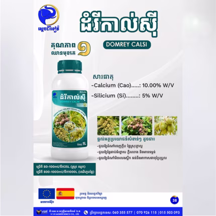 ដំរីកាល់ស៊ី