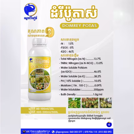 ដំរីប៉ូតាស់