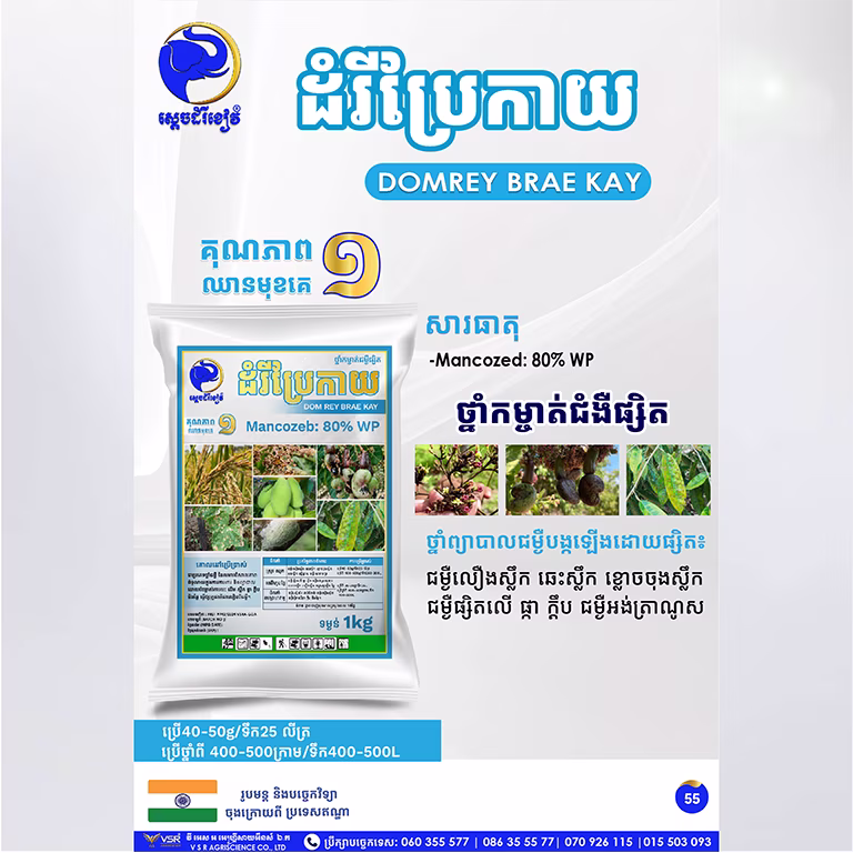 ដំរីប្រែកាយ